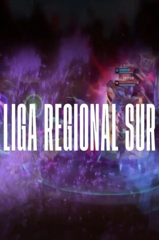 Regional Sur LOL (T2): Final