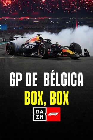 Mundial de Fórmula 1 (T2024): GP de Bélgica: Box, Box