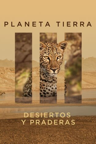 Planeta Tierra III: Desiertos y praderas