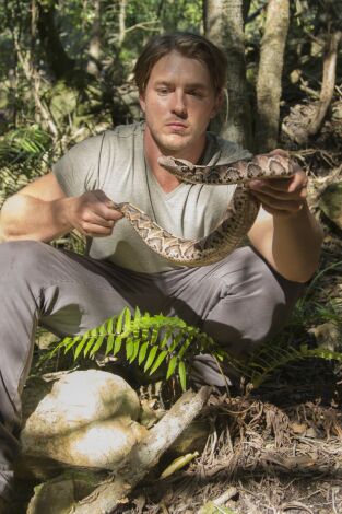 Serpientes letales de Sudáfrica: Los bosques