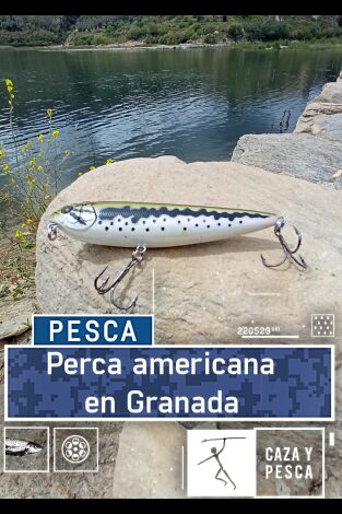 Perca americana en Granada