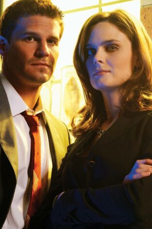 Bones (T4): Ep.12 Doble salto mortal