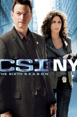 C.S.I. NY (T6): Ep.11 Segundas oportunidades