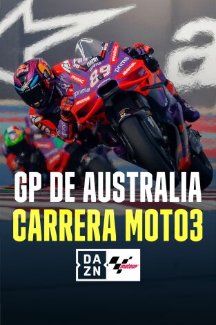 Mundial de motociclismo (T2024): Carrera Moto3