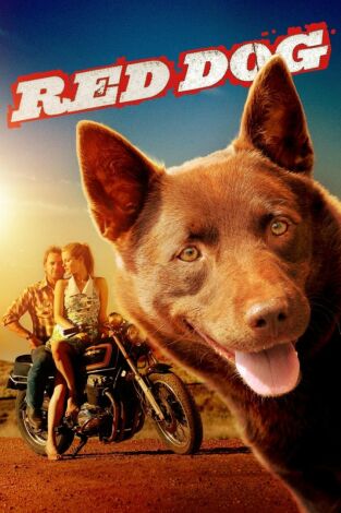 Red Dog: una historia de lealtad