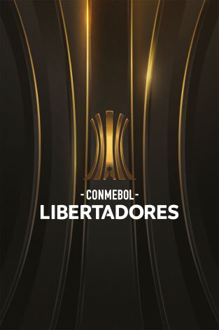 Conmebol Libertadores (T2024): River Plate - Atlético Mineiro