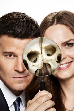 Bones (T6): Ep.1 El mastodonte en la habitación