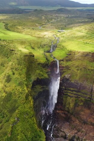 Macaronesia (Islas felices)