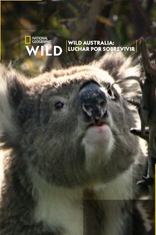 Wild Australia: Luchar por sobrevivir