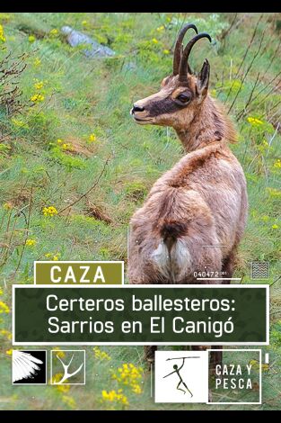 Certeros Ballesteros: Sarrios en El Canigó