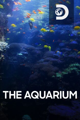 The Aquarium: Episodio 10