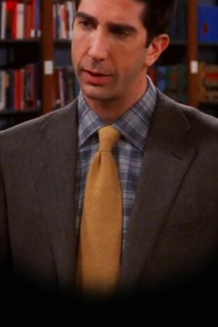 Friends (T7): Ep.7 El del libro de biblioteca de Ross