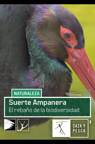 Suerte Ampanera, rebaño de biodiversidad