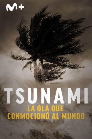 Tsunami: la ola que conmocionó al mundo: Episodio 1