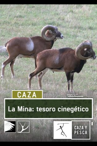 La Mina: tesoro cinegético