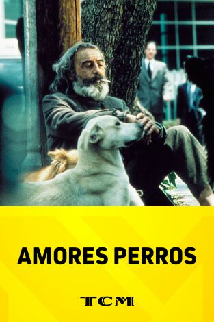 Amores perros