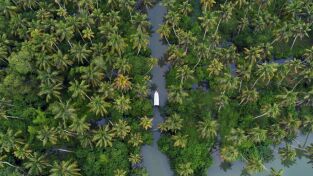 India desde el cielo: Maravillas de la naturaleza