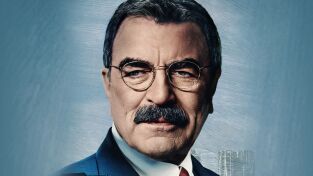 Blue Bloods (T14): Ep.16 Las zonas grises