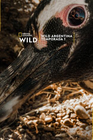 Wild Argentina: Tierra de agua Wild Argentina: Tierra de agua