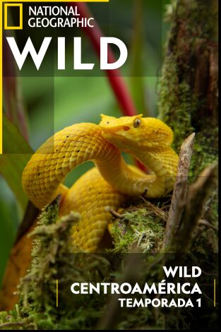 Centroamérica salvaje con Nigel Marven: Costa Rica Centroamérica salvaje con Nigel Marven: Costa Rica