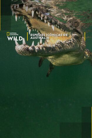 Especies icónicas de Australia Especies icónicas de Australia