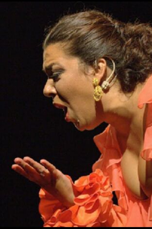 Lo Flamenco Lo Flamenco