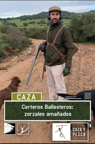 Certeros ballesteros: Zorzales amañados Certeros ballesteros: Zorzales amañados