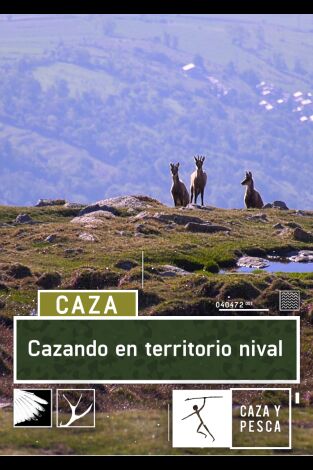 Cazando en territorio nival Cazando en territorio nival