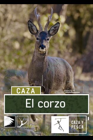 El Corzo: El inicio El Corzo: El inicio