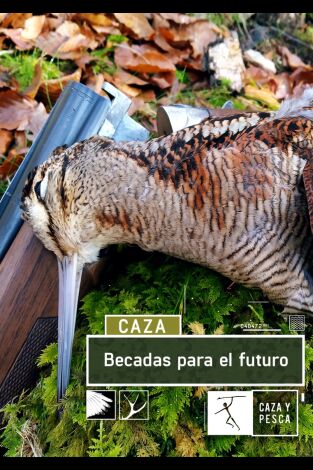 Becadas para el futuro Becadas para el futuro