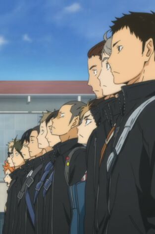 Haikyu!! Haikyu!!