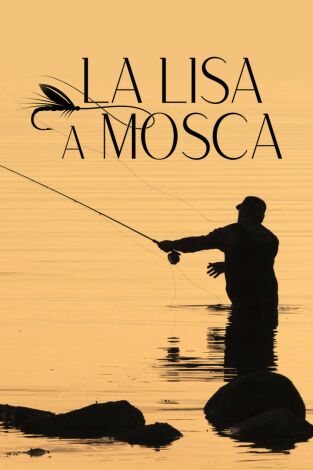 La lisa a mosca La lisa a mosca