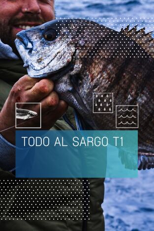 Todo al sargo: Sargos en islotes Todo al sargo: Sargos en islotes