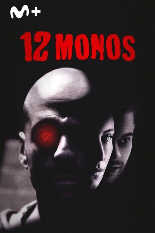 12 monos 12 monos