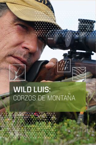 Wild Luis: Corzos de montaña Wild Luis: Corzos de montaña