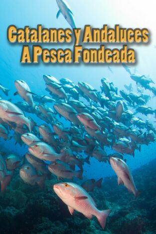 Catalanes y andaluces a pesca fondeada Catalanes y andaluces a pesca fondeada