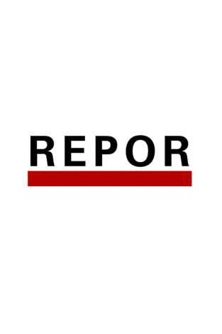 Repor: Negocios saludables Repor: Negocios saludables