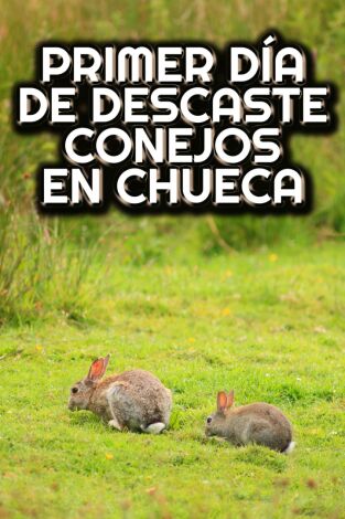 Cazando en cuadrilla al descaste del conejo Cazando en cuadrilla al descaste del conejo