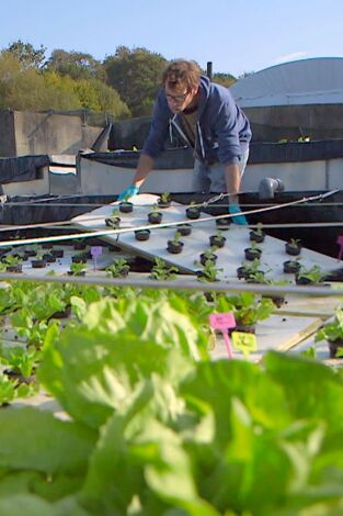 Forjadores del mañana: La ciencia al servicio de la agricultura Forjadores del mañana: La ciencia al servicio de la agricultura