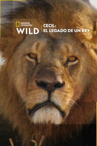 Cecil: el legado de un rey Cecil: el legado de un rey