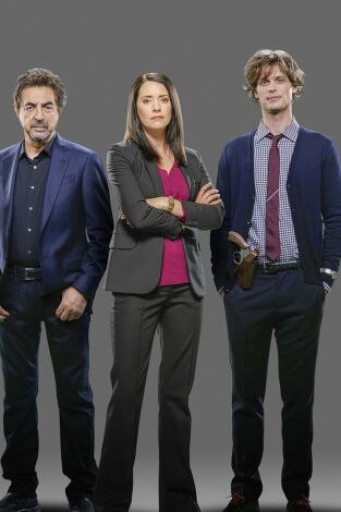 Mentes criminales (T12): Ep.19 El norte verdadero Mentes criminales (T12): Ep.19 El norte verdadero