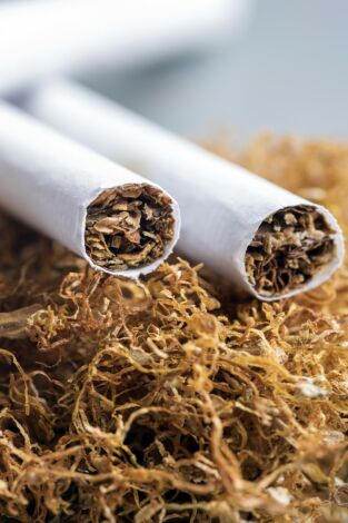 Nicotine, a drug with future Nicotine, a drug with future