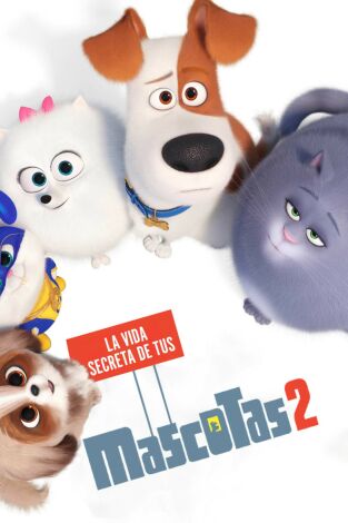 Mascotas 2 Mascotas 2