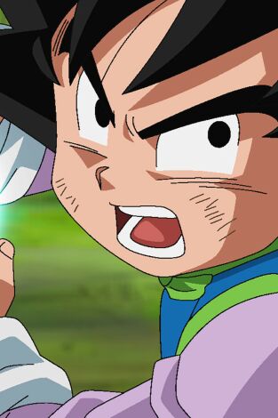 Dragon Ball Super Dragon Ball Super