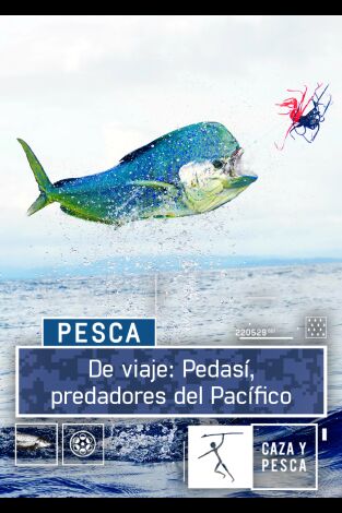 De viaje: Pedasí, predadores del Pacífico De viaje: Pedasí, predadores del Pacífico