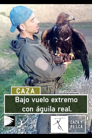 Bajo vuelo extremo con águila real Bajo vuelo extremo con águila real