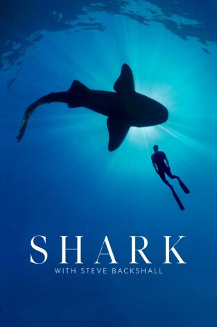 Shark with Steve Backshall: Tiburones del Océano Atlántico