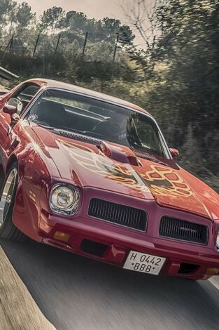 V8 Classic Trucks V8 Classic Trucks