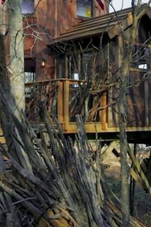 Mi casa en un árbol: La experiencia Roderick Mi casa en un árbol: La experiencia Roderick