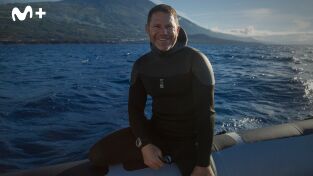 Ballenas con Steve Backshall: Supervivientes Ballenas con Steve Backshall: Supervivientes